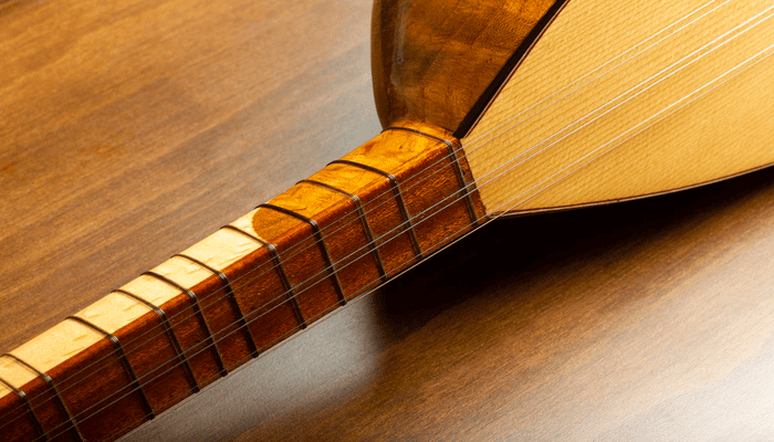 Iranian-old-instrument